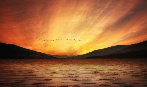 Birds flying formation over Scottish Loch at sunset