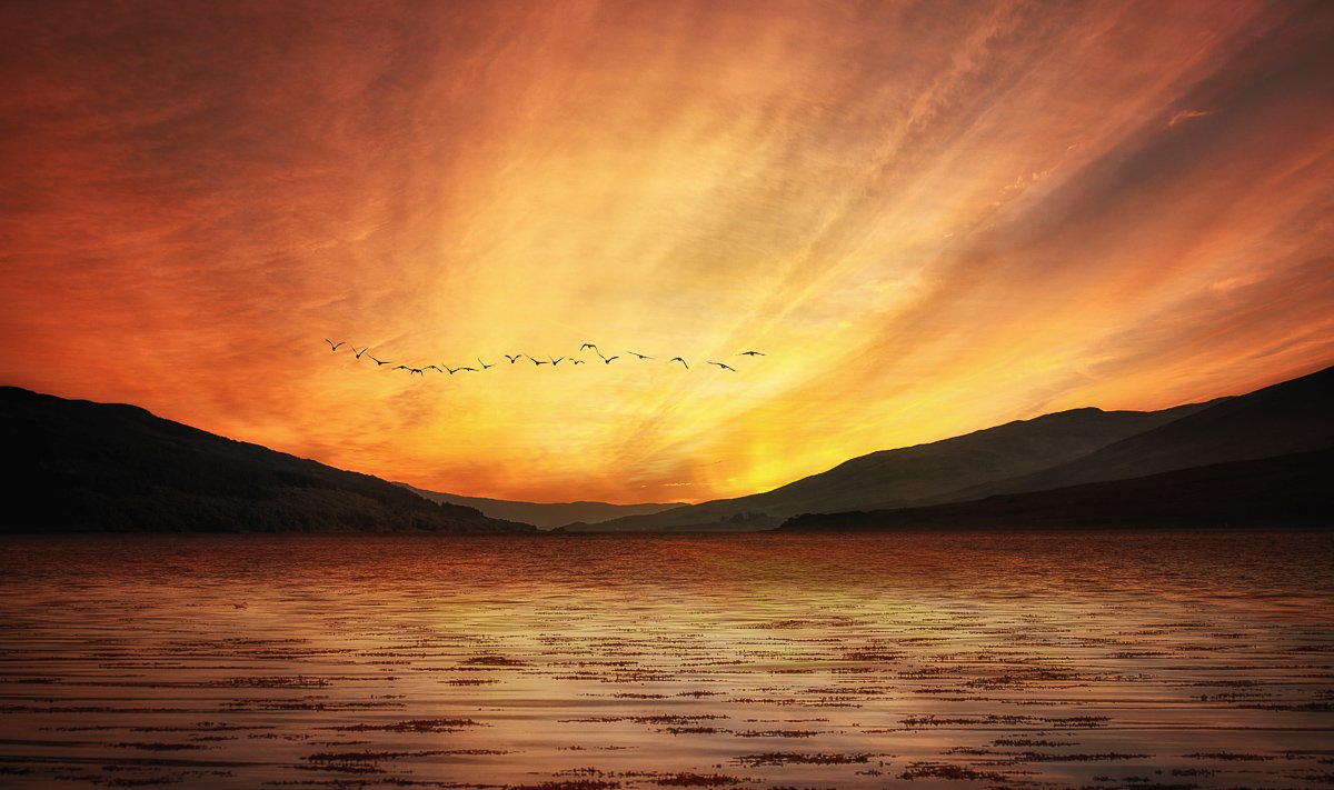 Birds flying formation over Scottish Loch at sunset