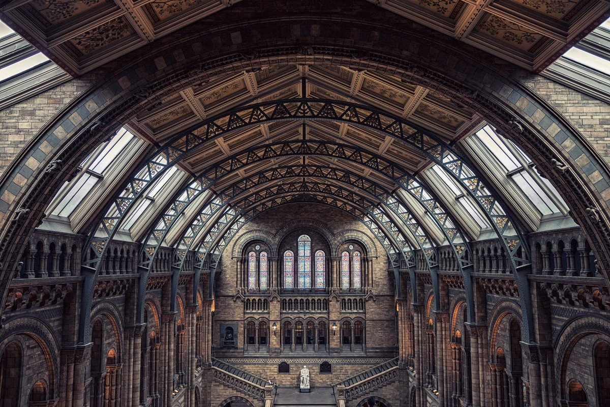 natural history museum great hall london architecture